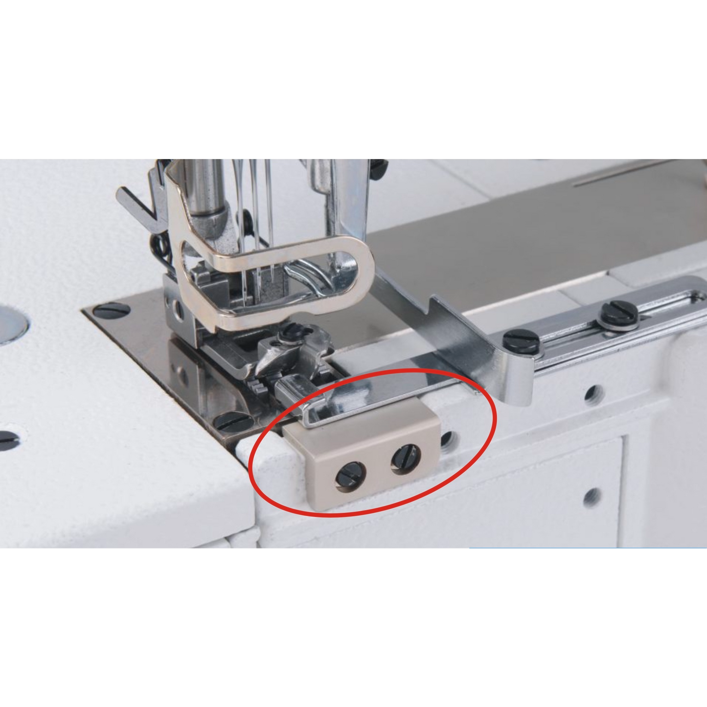 JACK W4S UT 01GB X 364 image 8